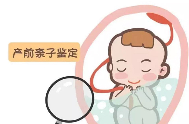 阳江怀孕期间怎么鉴定孩子是谁的,阳江胎儿亲子鉴定需要多少钱