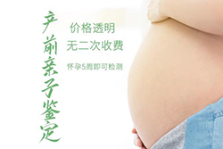 阳江怀孕6周怎么做亲子鉴定？阳江怀孕做亲子鉴定流程？